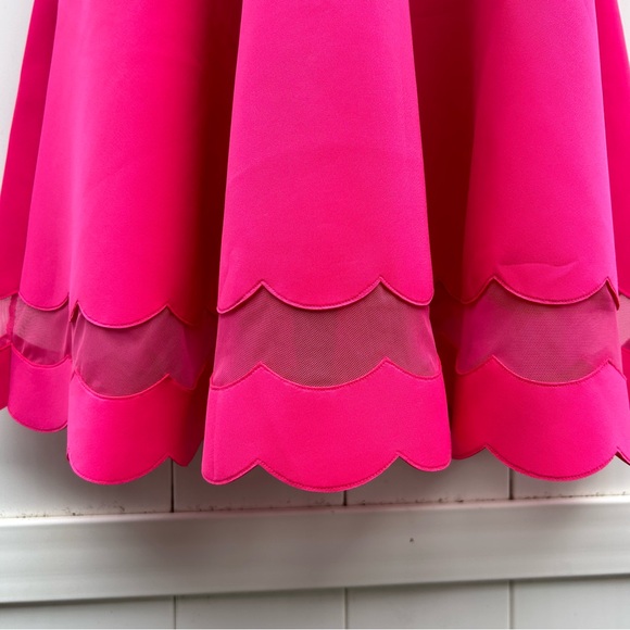 Ted Baker Sharlot Fit & Flare Pink Cap Sleeve Mesh Panel Dress | Size Medium - Picture 5 of 16